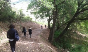 No Man's Land, Bosco, Loreto Aprutino (PE) - ph. Amalia Temperini
