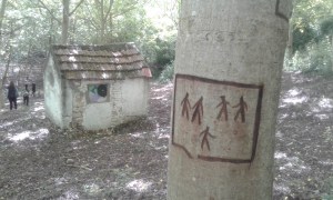 No Man's Land, Bosco, Loreto Aprutino (PE) - ph. Amalia Temperini