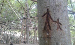 No Man's Land, Bosco, Loreto Aprutino (PE) - ph. Amalia Temperini