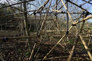No Man's Land, bambù - Loreto Aprutino (PE) - ph. Gino Di Paolo - www.fondazionearia.it