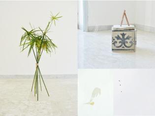 Sofia Ricciardi, Casa con giardino (videostill), 2016, mattonelle, collage su carta, corda, foglie di papiro; video, colore, durata 60 secondi; suono, durata 60 secondi; installazione dimensione ambiente. 8,05 min - www.etranger.it Sofia Ricciardi, Casa con giardino (videostill), 2016, mattonelle, collage su carta, corda, foglie di papiro; video, colore, durata 60 secondi; suono, durata 60 secondi; installazione dimensione ambiente. 8,05 min - www.etranger.it