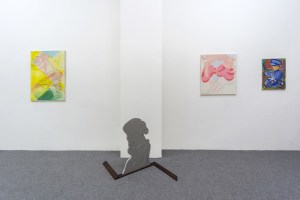 Grant Foster. Popular Insignia, Installation view, Acappella - Napoli, courtesy Acappella and D. Donzelli www.museoapparente.eu