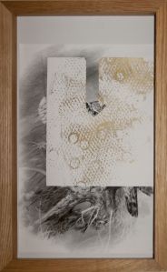 03_Gianni Politi - Residenze #1 | Flavio Favelli - Gianni Politi, 12 ottobre, AlbumArte - Roma