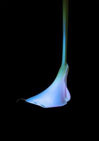 Enlightening Surfaces Serena Vittorini - Melissa Pallini a cura di Fanny Borel