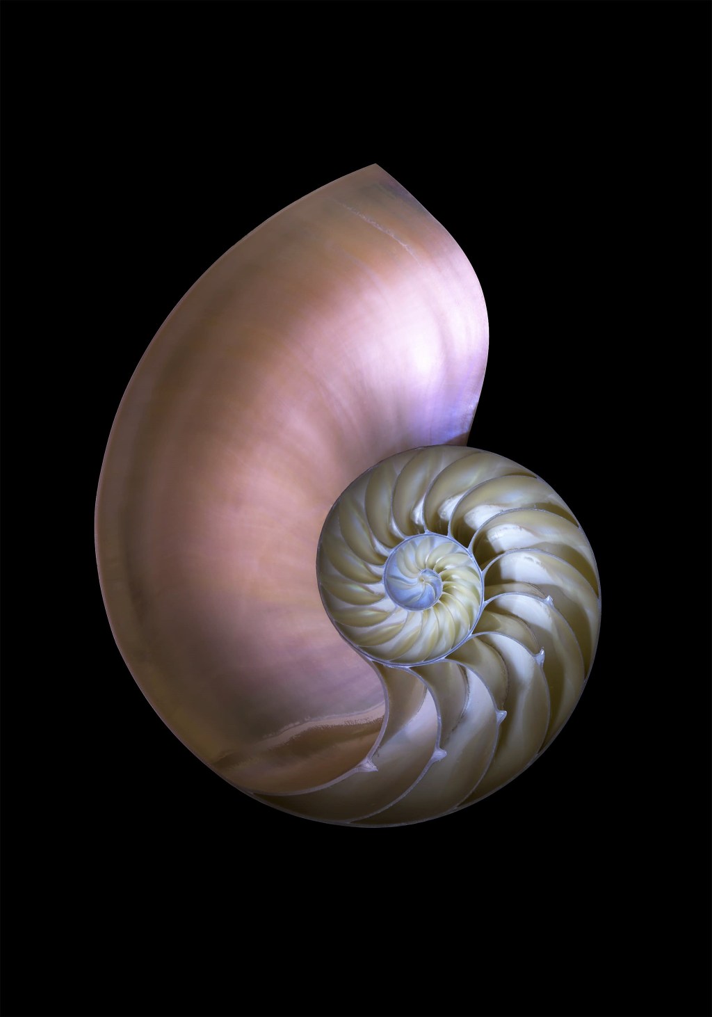 Enlightening Surfaces. Serena Vittorini – Melissa Pallini, Galleria 291 EST – Roma #vernissage #fotografia #arte&nbsp;[mostre]