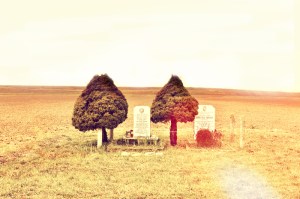 Franco Monari: “e poi verrà la nebbia”