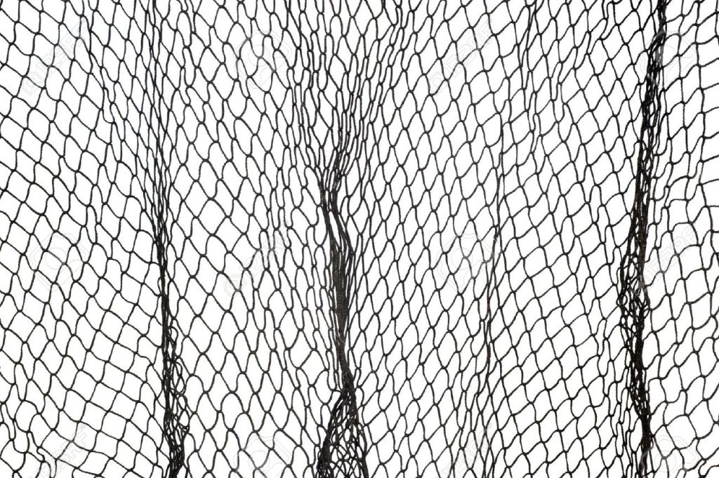 Lunedì 6 febbraio, Presa diretta #popolarità #televisione #riflessione&nbsp;[#web]