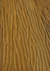 SCRIPT WAVE Roberto Pescetelli, 7 febbraio 2017, Interno 14 - Roma