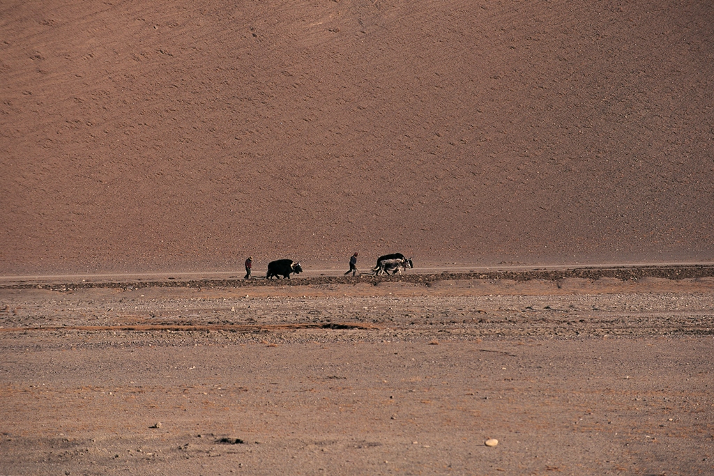 MAHEELA: QUANDO ESSERE DONNE E` UNA SFIDA QUOTIDIANA #fotografia #arte #savethedate&nbsp;[#mostre]