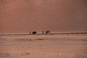 01. Giuseppe Benanti