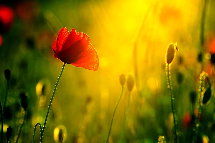 Buon fine anno!&nbsp;[#happynewyear]