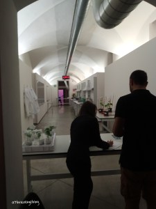 Carsten Höller - Stefano Mancuso, The Florence Experiment a cura di Alberto Galasino (dettaglio), Palazzo Strozzi, Firenze, maggio 2018 - ph. Amalia Temperini