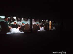 Carsten Höller - Stefano Mancuso, The Florence Experiment a cura di Alberto Galasino (dettaglio), Palazzo Strozzi, Firenze, maggio 2018 - ph. Amalia Temperini