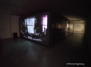 Carsten Höller - Stefano Mancuso, The Florence Experiment a cura di Alberto Galasino (dettaglio), Palazzo Strozzi, Firenze, maggio 2018 - ph. Amalia Temperini