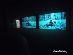 Carsten Höller - Stefano Mancuso, The Florence Experiment a cura di Alberto Galasino (dettaglio), Palazzo Strozzi, Firenze, maggio 2018 - ph. Amalia Temperini