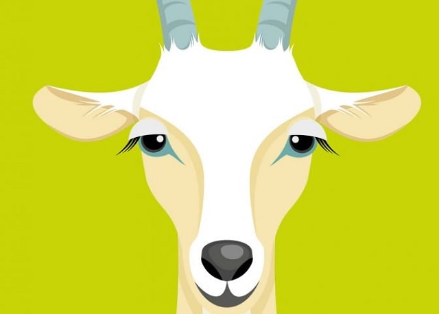 Heidi di Francesco Muzzopappa #audiolibro #libri&nbsp;[#recensione]