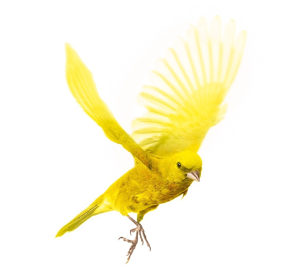 Storia della mia ansia – Daria Bignardi #libri #audiolibri&nbsp;[#recensione]