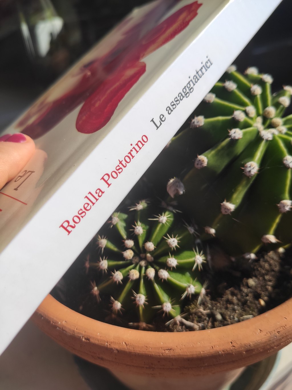 Le assaggiatrici – Rossella Postorino #libri #recensione