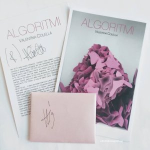 Algoritmi. Frammenti di un'antologia del volo - Valentina Colella a cura di Piera Di Nicolantonio, Galleria Margutta, Pescara - ph. Amalia Temperini