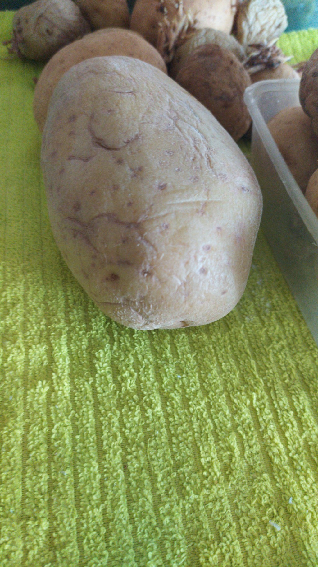 Gnocchi – Domenica&nbsp;[#iorestoacasa]