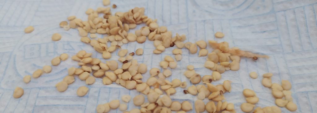 Ravanelli e peperoni&nbsp;[#iorestoacasa]