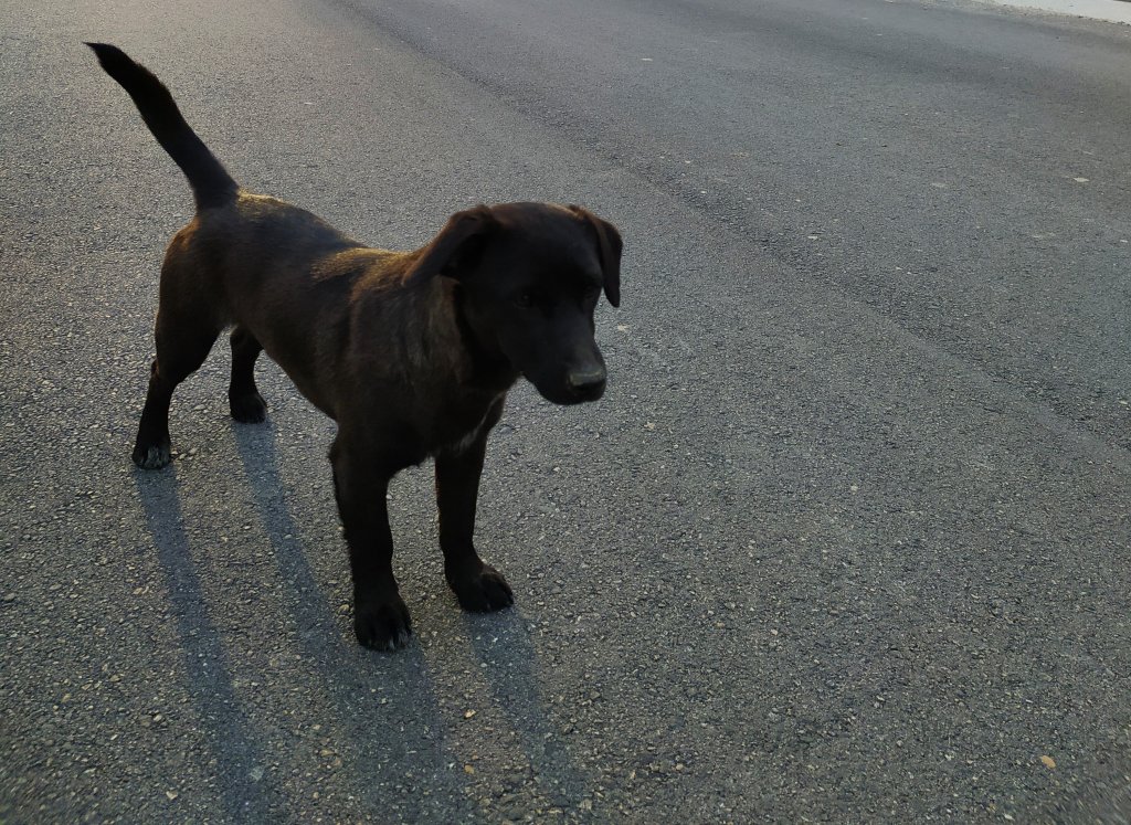 Pasquetta 2020 #iorestoacasa ma esco con guanti e&nbsp;mascherina