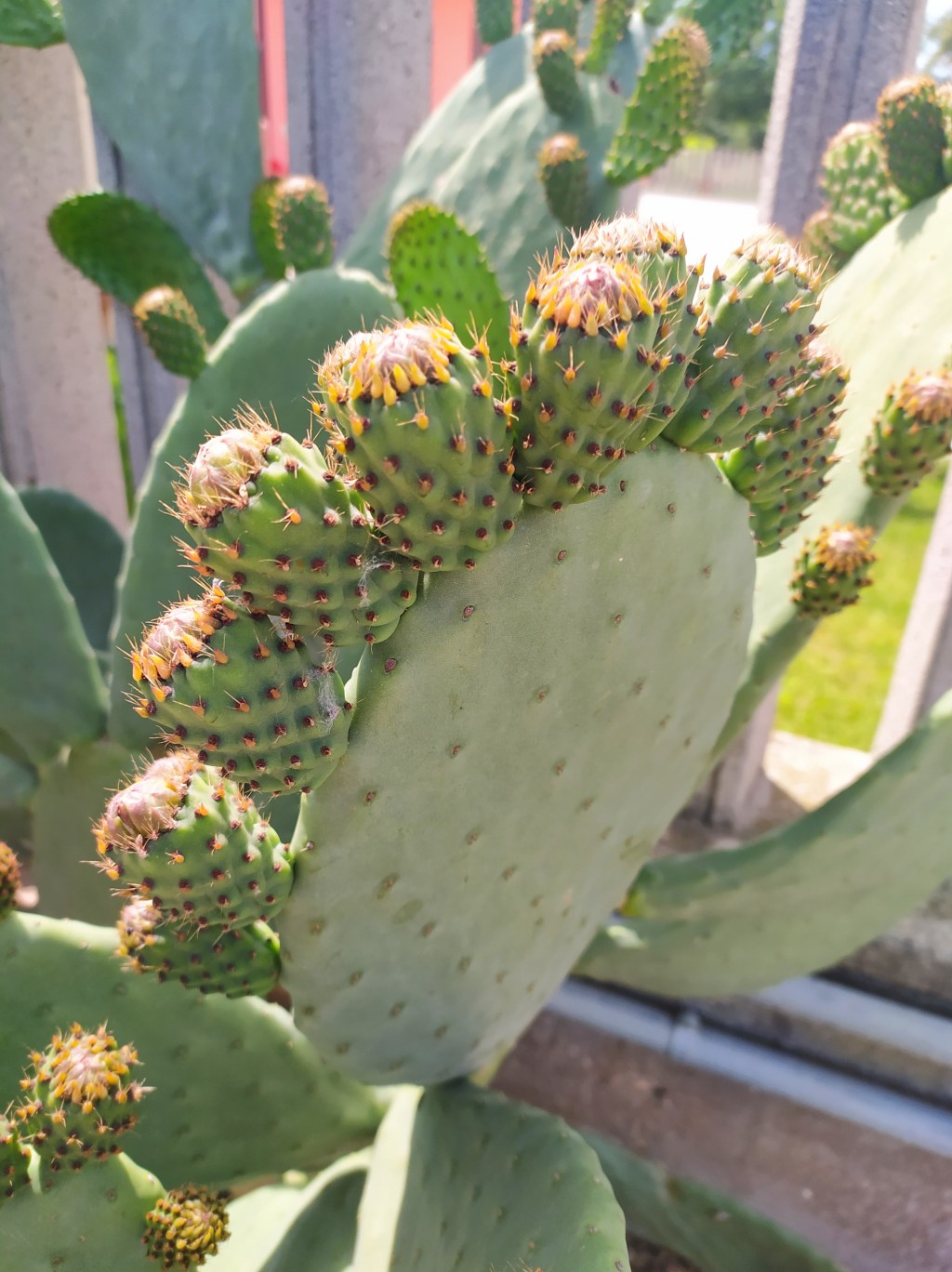 Corri, lavora la campagna!&nbsp;[#lavoro]