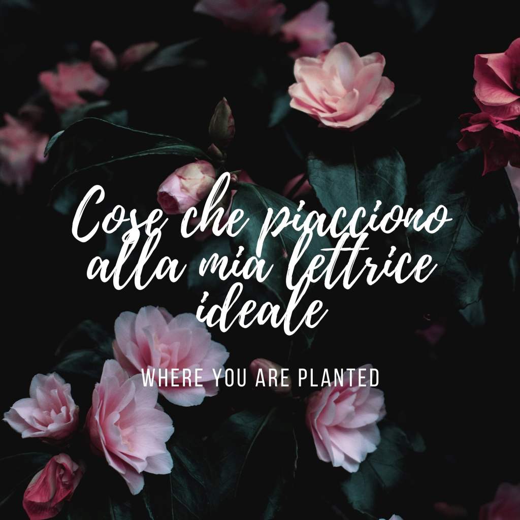 Cosa potrebbe piacere alla mia lettrice ideale?&nbsp;[#riflessione]