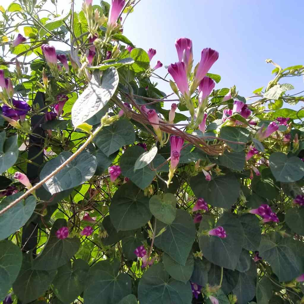 Autodeterminazione: risorsa e ascolto.&nbsp;#gioventù