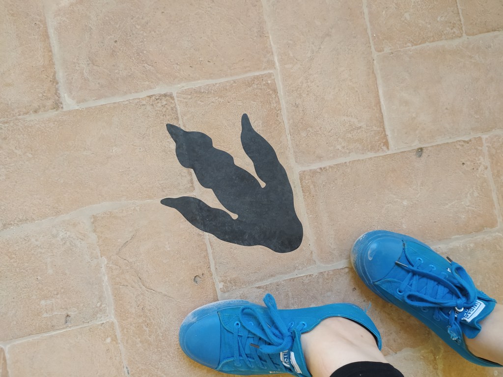 Extinction – Dinosauri in carne e ossa #Gubbio, Monastero di San Benedetto #mostre #bambini&nbsp;[#recensione]