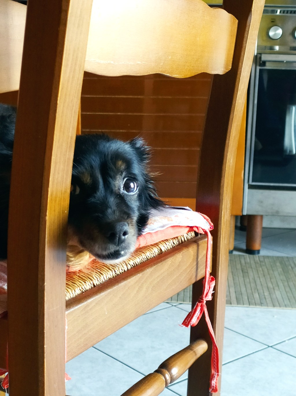 Da gialla ad arancione&nbsp;#covid