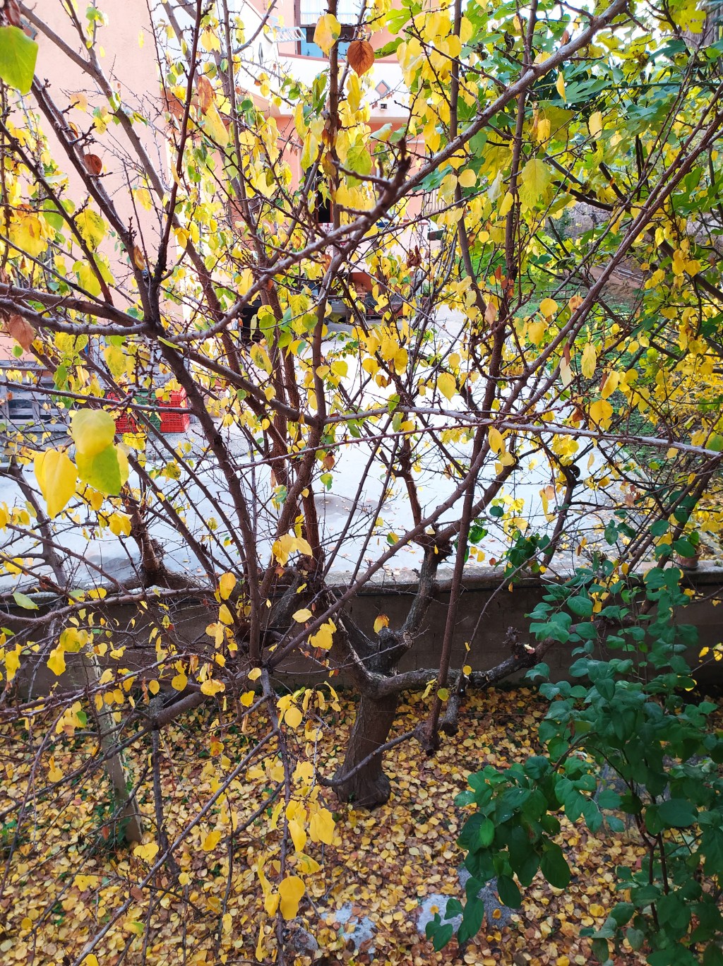 Ogni volta #storiaperiodica