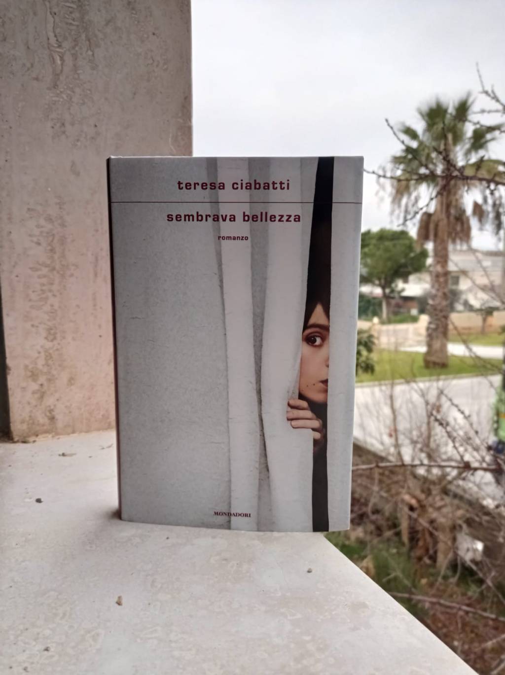Sembrava bellezza. E lo è? Ho letto l’ultimo di Teresa Ciabatti #libro&nbsp;[#recensione]