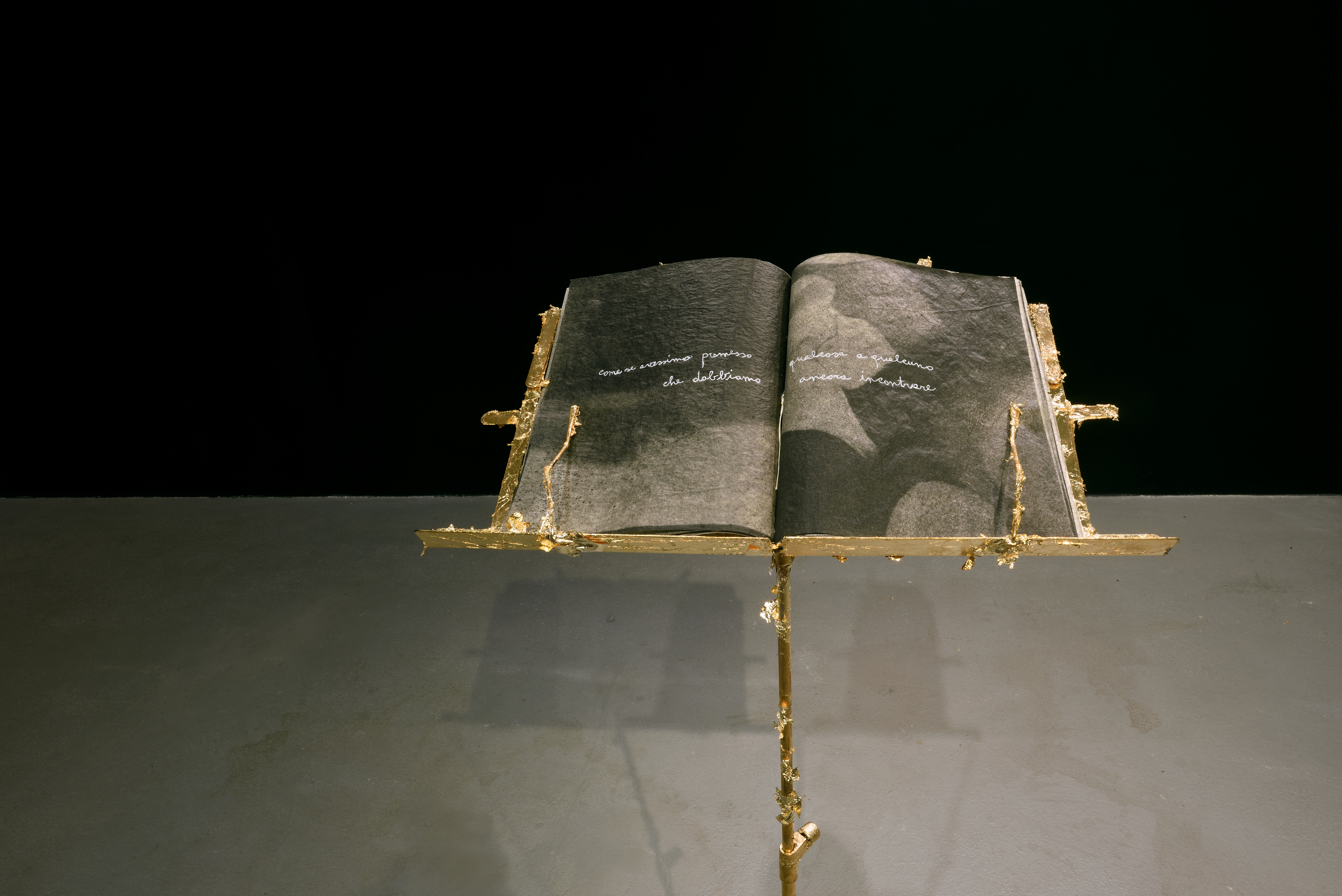 Domenico Brancale, Paso Doble - dialoghi sul possibile - ph. Gino Di Paolo