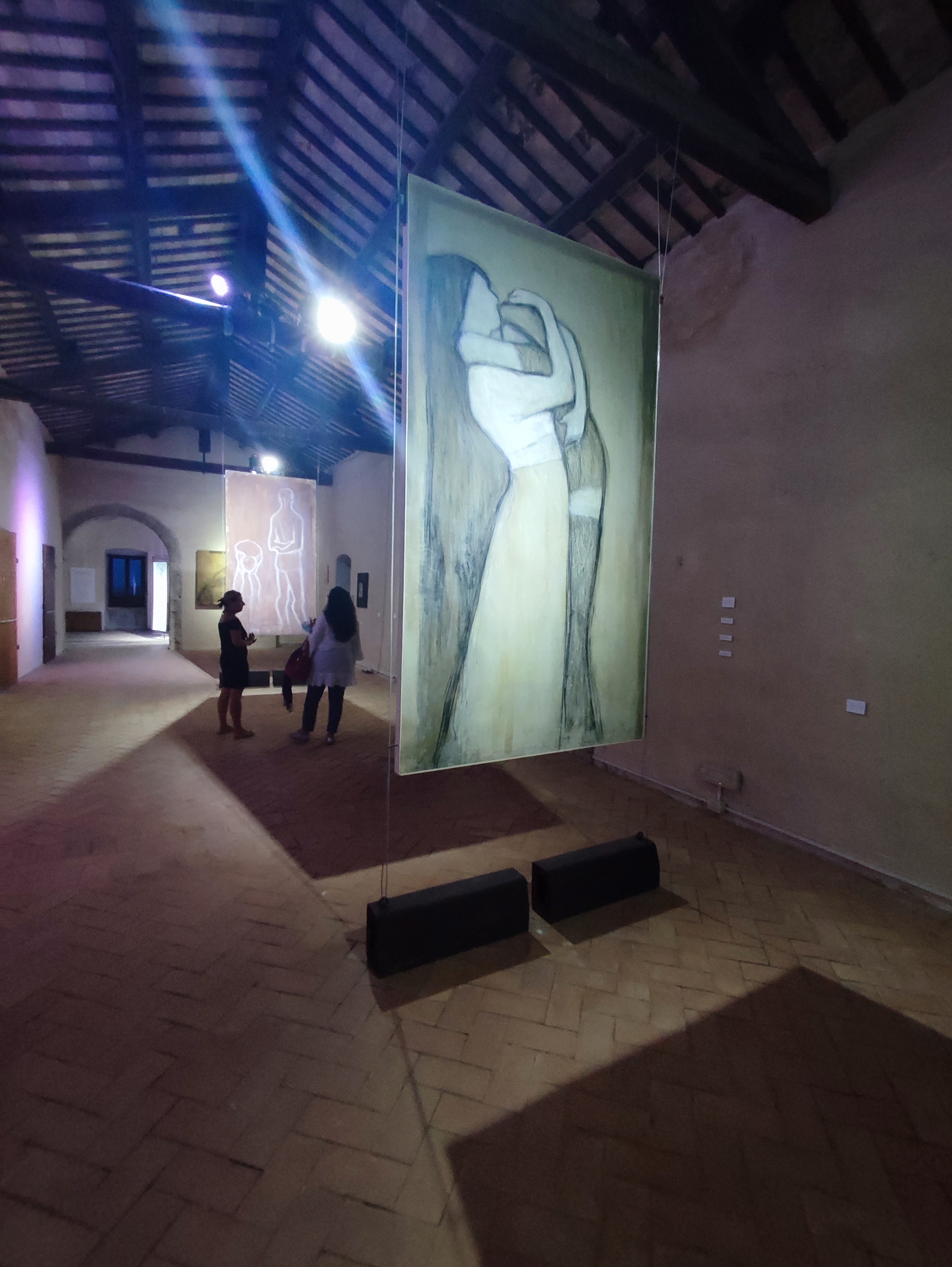 VITE - FABRIZIO SANNICANDRO - SANTA MARIA DI PROPEZZANO (TE) - ph. Amalia Temperini