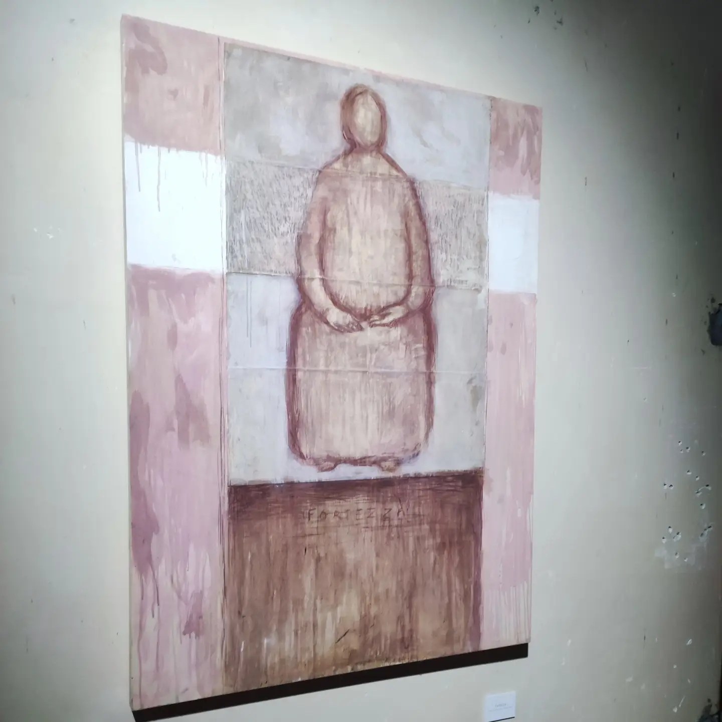 VITE - FABRIZIO SANNICANDRO - SANTA MARIA DI PROPEZZANO (TE) - ph. Amalia Temperini