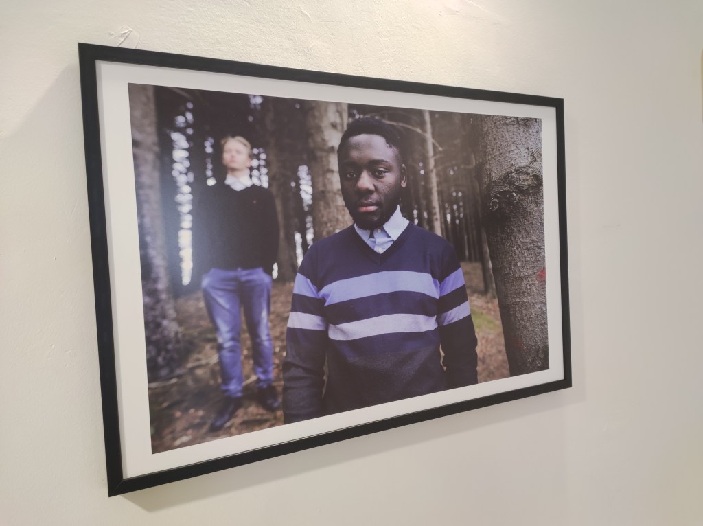 Bosco Martese. Testimoni del tempo" - Luciano Adriani - L'Arca - Laboratorio per le Arti Contemporanee - TE - ph. Amalia Temperini