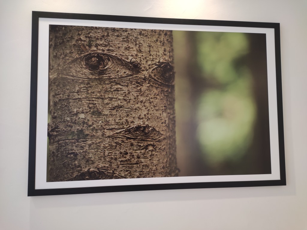 Bosco Martese. Testimoni del tempo" - Luciano Adriani - L'Arca - Laboratorio per le Arti Contemporanee - TE - ph. Amalia Temperini