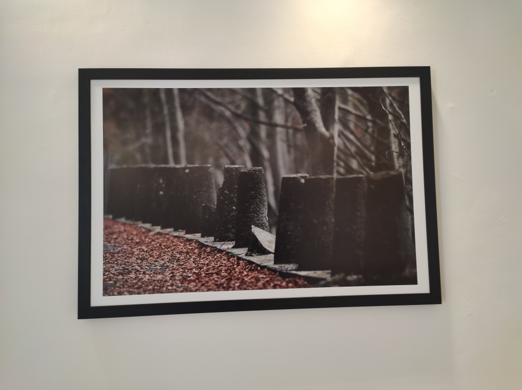 Bosco Martese. Testimoni del tempo" - Luciano Adriani - L'Arca - Laboratorio per le Arti Contemporanee - TE - ph. Amalia Temperini