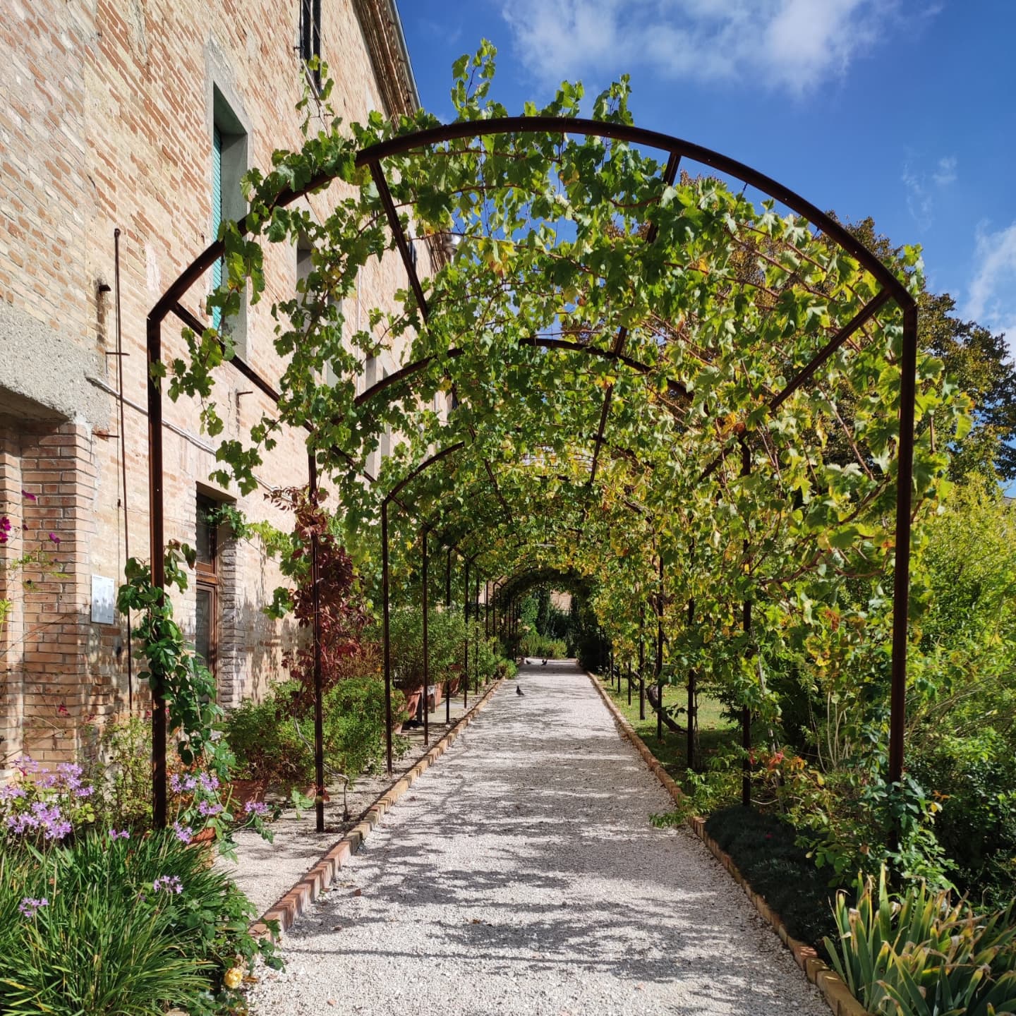 #FAI - ORTO SUL COLLE DELL'INFINITO #GIACOMOLEOPARDI #POESIA #RECANATI - Ph. Amalia Temperini