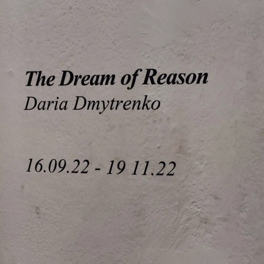 Daria Dmyitrenko a cura di Eduardo Monti, Galleria Eduardo Secci, Firenze - ph. Amalia Temperini