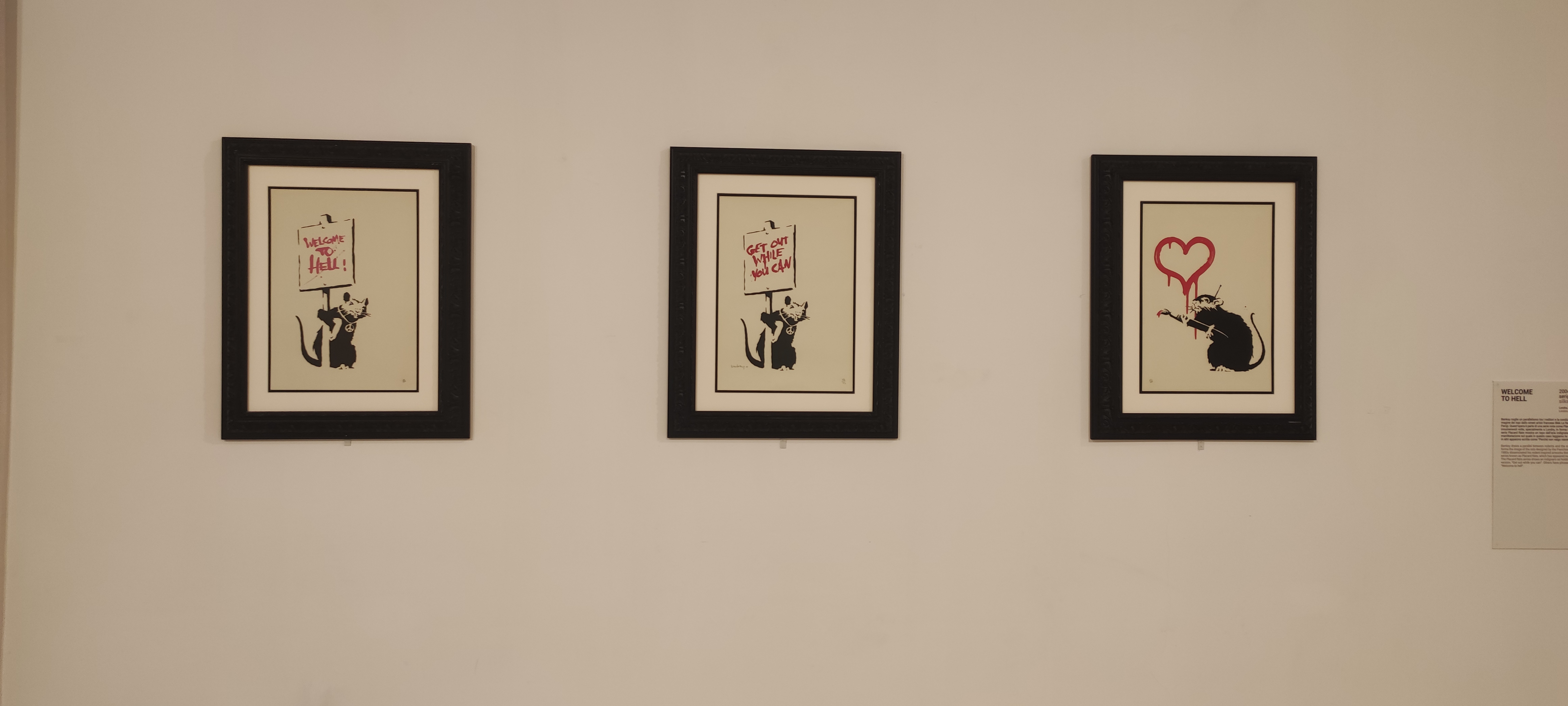 Banksy a Teramo. An Unauthorized Exhibition - ph. Amalia Temperini