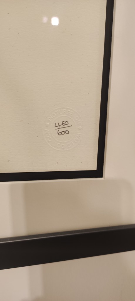 Banksy a Teramo. An Unauthorized Exhibition - ph. Amalia Temperini