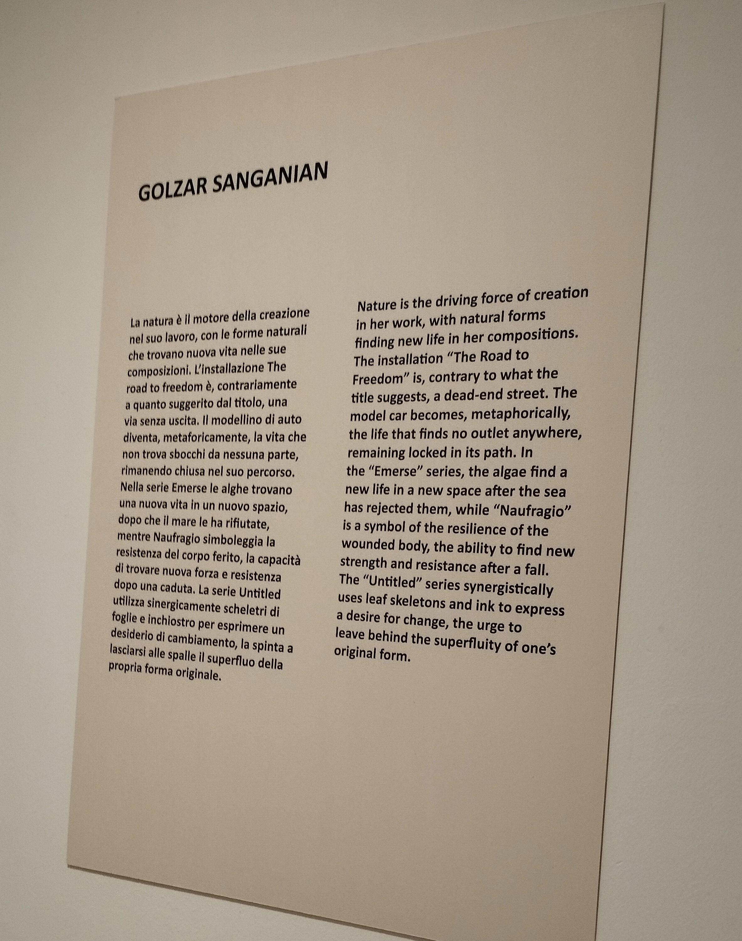 “Voci dall’abisso. Quattro artiste iraniane a Bologna” Opere di Pegah Pasyar, Reyhaneh Alikhani, Golzar Sanganian, Khorshid Pouyan A cura di Marco Baldassari ph. Amalia Temperini