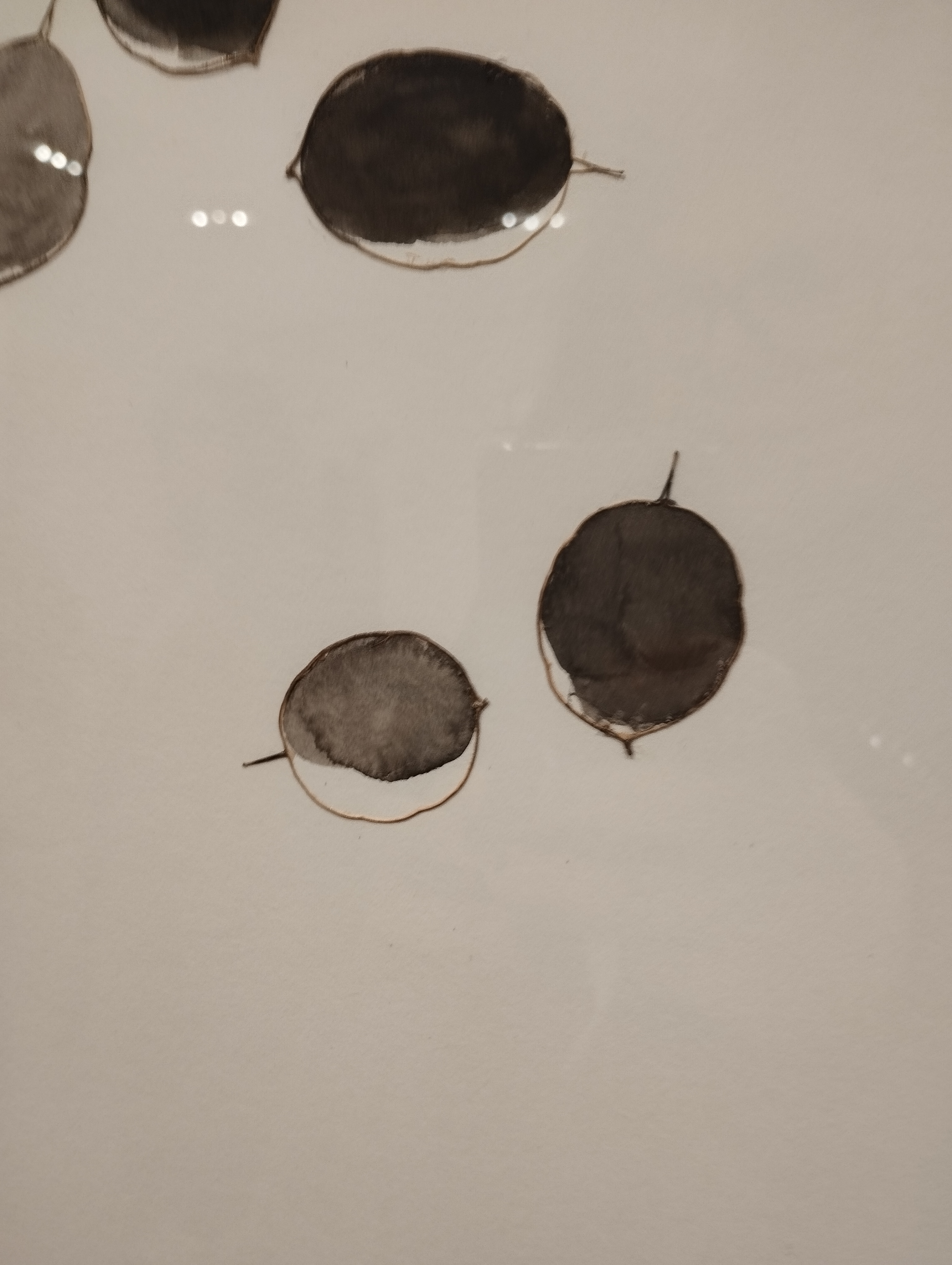 “Voci dall’abisso. Quattro artiste iraniane a Bologna” Opere di Pegah Pasyar, Reyhaneh Alikhani, Golzar Sanganian, Khorshid Pouyan A cura di Marco Baldassari ph. Amalia Temperini