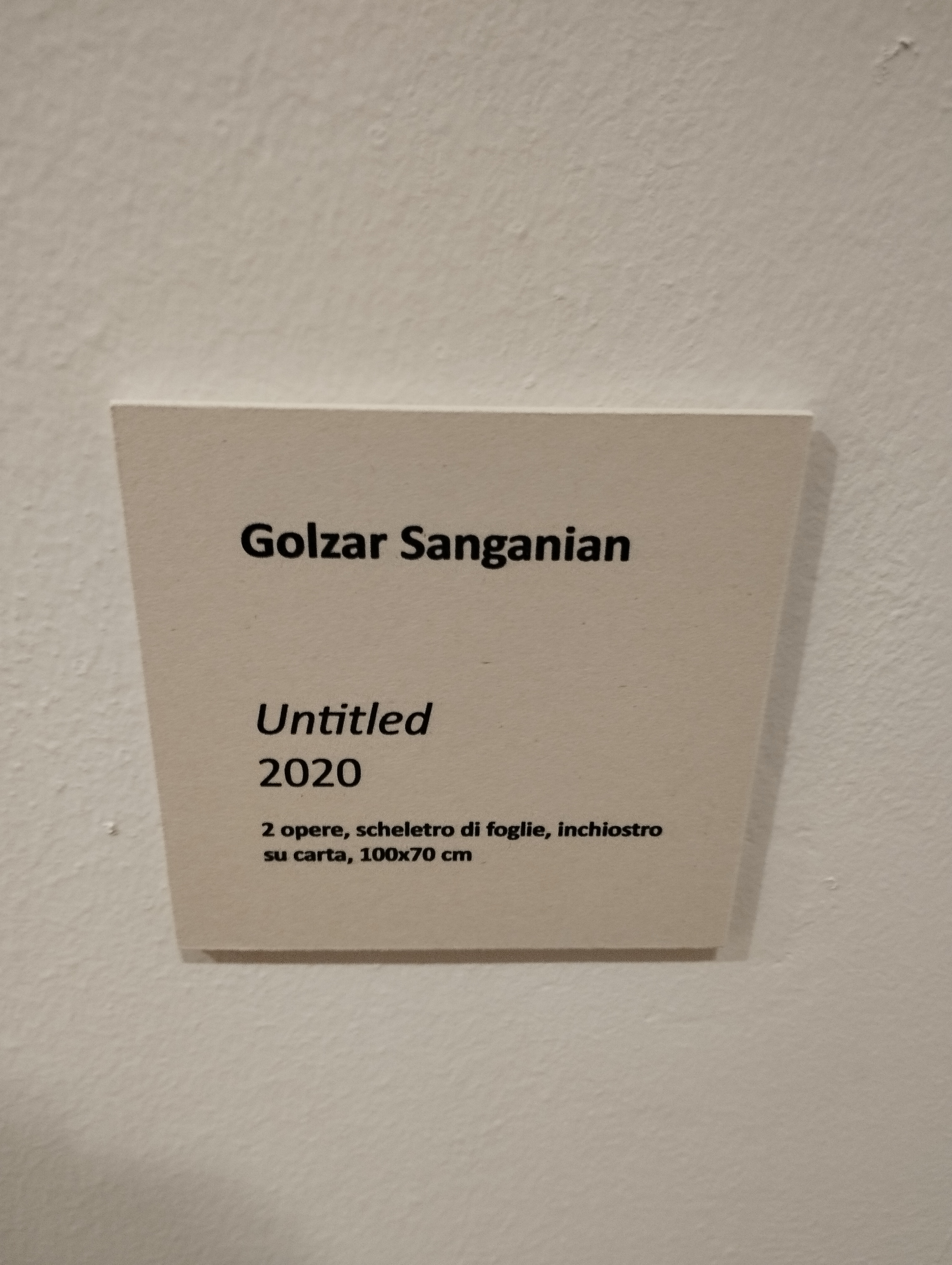 “Voci dall’abisso. Quattro artiste iraniane a Bologna” Opere di Pegah Pasyar, Reyhaneh Alikhani, Golzar Sanganian, Khorshid Pouyan A cura di Marco Baldassari ph. Amalia Temperini