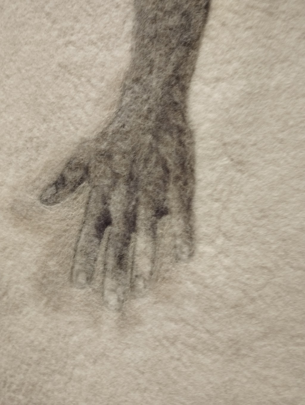 “Voci dall’abisso: quattro artiste iraniane a Bologna”, Palazzo Fava fino al 5 febbraio&nbsp;#mostre