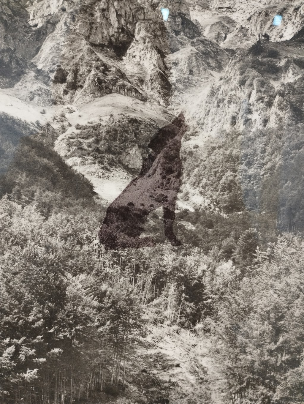 Io Amo Te. Una mostra a cura di Umberto Palestini, L’Arca – Laboratorio per le Arti Contemporenee – Teramo #mostre