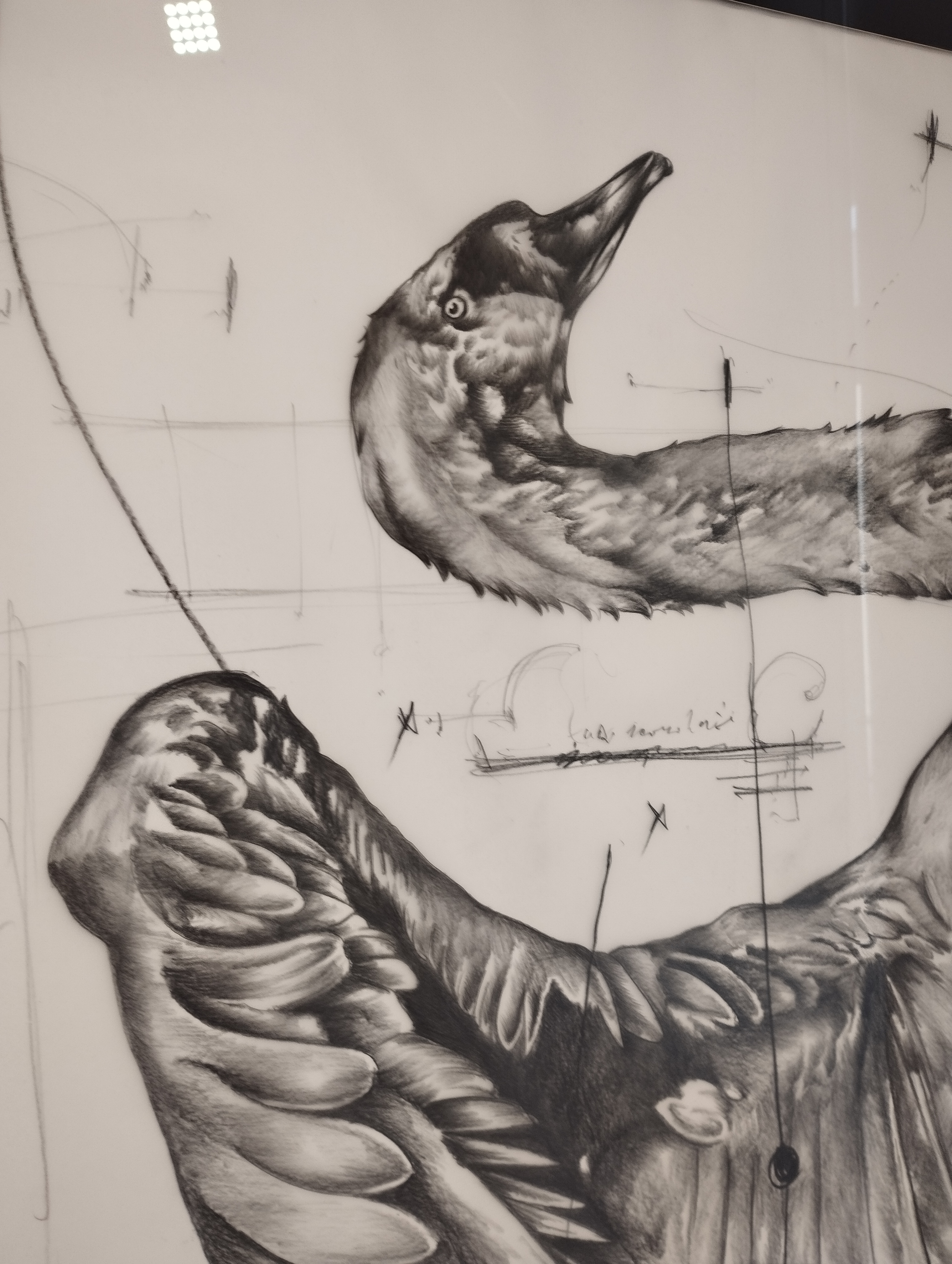 Fabrizio Cotognini, Io AMO TE. I LOVE YOU a cura di Umberto Palestini L'Arca - Laboratorio per le Arti Contemporanee, Teramo - ph. Amalia Temperini