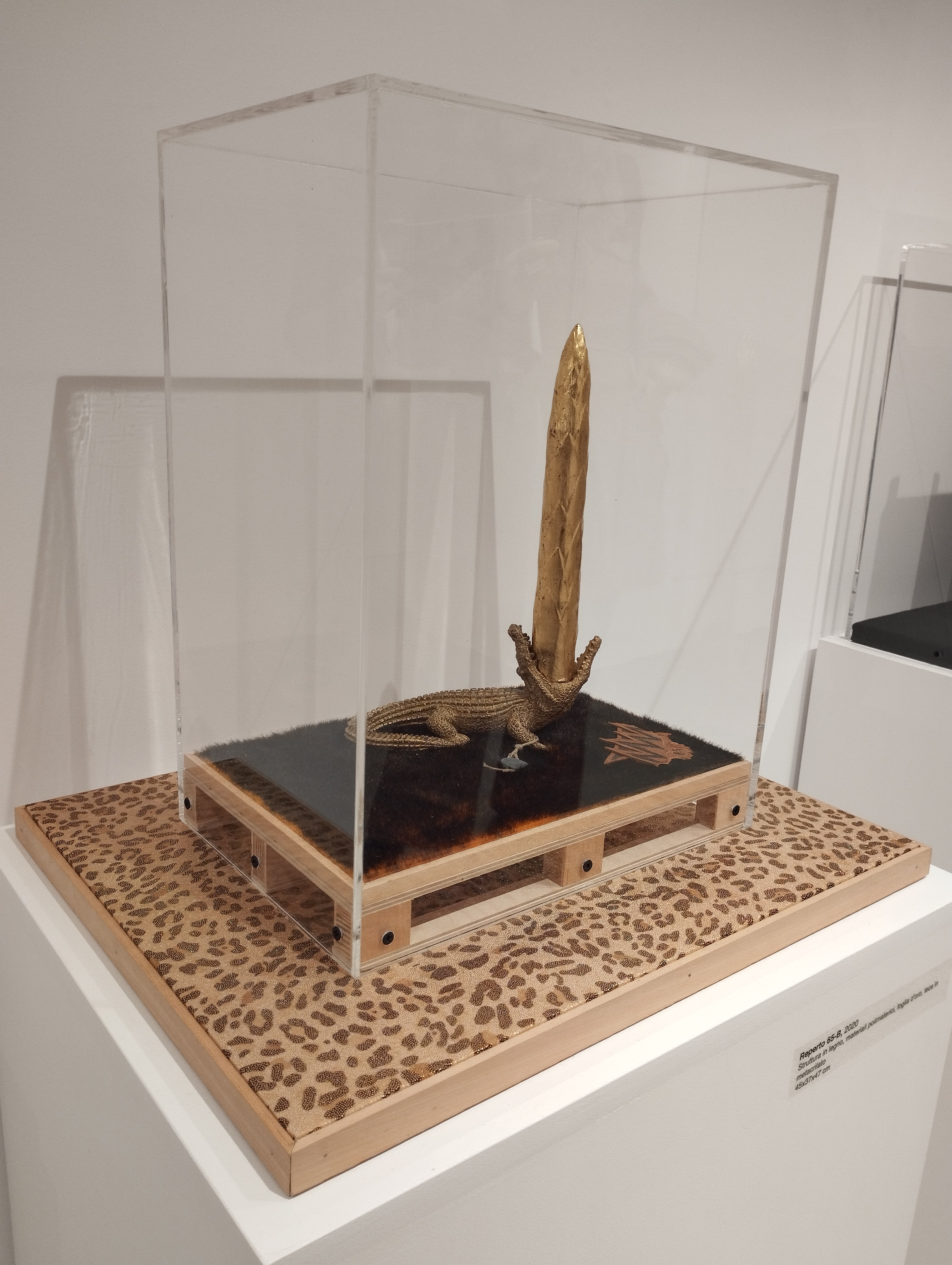 Sandro Visca. Inedito 2014/2022 - Fondazione La Rocca, Pescara - ph. Amalia Temperini